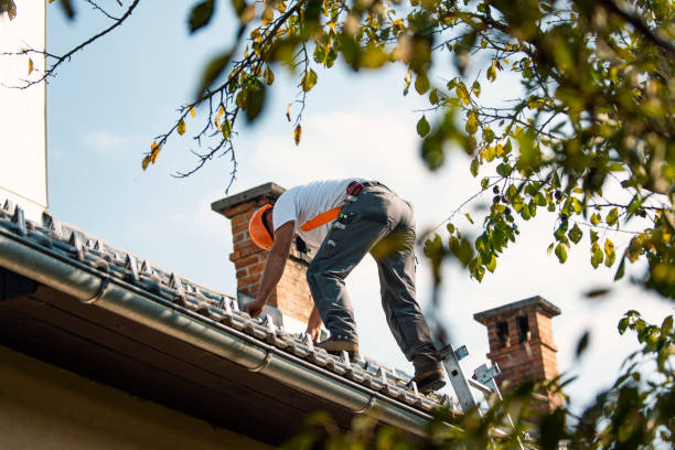 Roof Insulation Installation in Hideaway, TX